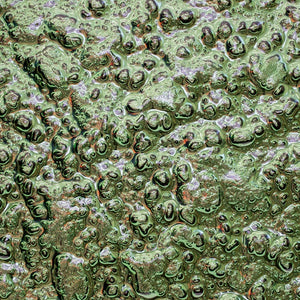 Green Planet Wall Panel