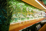 1814 Wine Corner Restaurant