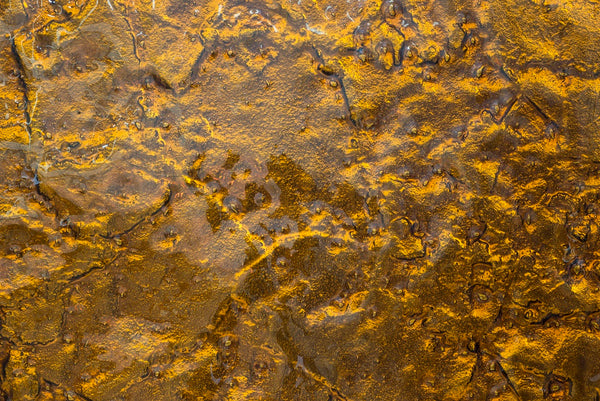 Стінова панель Gold Honey 
