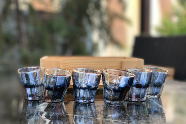 Holographic Faceted Shot Glass Set