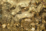 Close-up of Aqua Old Gold glass panel with a textured, reflective surface, blending rich golden hues and intricate patterns for a luxurious aesthetic