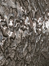 Close-up of champagne glass wall panels showcasing intricate textures and reflective surfaces