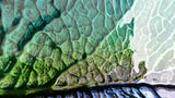 Sink Leaf Harmony