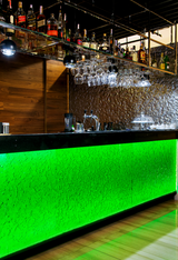 Illuminated Flora wall panel stands as a statement piece in a contemporary bar, bringing depth and vibrancy to the space