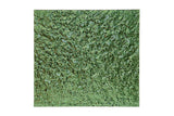 Green Planet glass panel with a bubbled texture, isolated on a white background