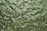 Close up of Green Planet textured glass panel with organic, bubbled surface