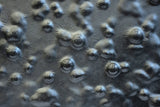 CuprumO Wall Panel